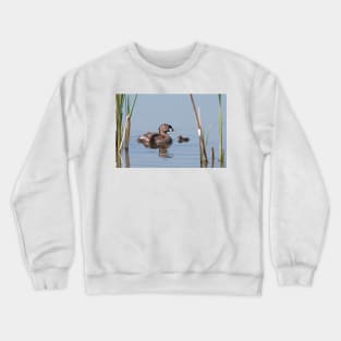 Pied-billed Grebe Crewneck Sweatshirt